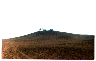 Camel