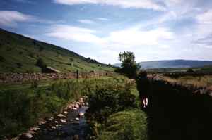 The Dales