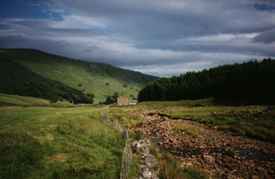 The Dales